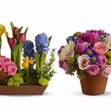 Looking for flowers in west chester pa? Dan S Flowers Florists 1419 W Chester Pike West Chester Pa Phone Number Yelp