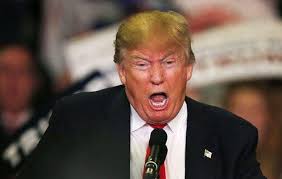 Liz Cheney/Adam Kinzinger Against Trump