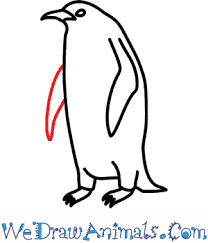 Maybe you would like to learn more about one of these? How To Draw An Emperor Penguin