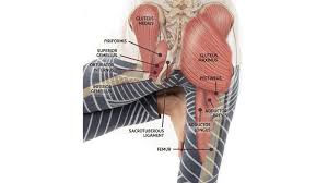 The hip's unique anatomy enables it to be both extremely strong and amazingly flexible, so it can bear weight and allow for a wide range of movement. Anatomy 101 Learn To Balance Mobility Stability In Your Hip Joints