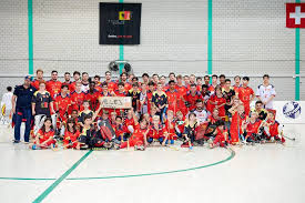 Cet article traite de l'équipe masculine. Geneve Rink Hockey Club Home Facebook