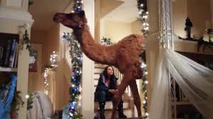 La Navidad de las madres rebeldes”: Basura y sentimentalismo de fin de año  | Proceso