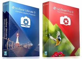 Acdsee Pro 7 скачать бесплатно русская версия с ключом Acdsee Russkaya Versiya Skachat Besplatno