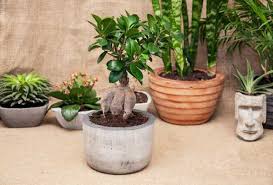 Mau tahu model hiasan gantung dari sedotan yang bisa jadi dekorasi menarik? Diy Pot Bunga Buatan Sendiri Dari Bahan Semen Berkualitas Semen Tiga Roda