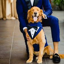Blue Formal Dog Tuxedo Wedding Tuxedo For Dogs Custom Made Etsy Dog Tuxedo Dog Tuxedo Wedding Pet Wedding Attire