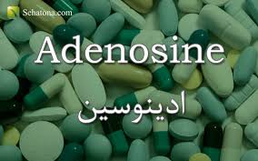 الcamp هو مشتق من الأدينوسين ثلاثي الفسفات (atp). Ø§Ø¯ÙŠÙ†ÙˆØ³ÙŠÙ† Adenosine ØµØ­ØªÙ†Ø§