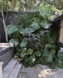 Aaron Adolph Landscape Arch (@nolaplusdesign) • Instagram photos and videos