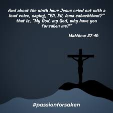 Jerome Li (@congthebaptist) • Instagram photos and videos