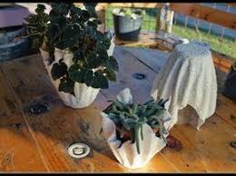 Beton Giessen Blumenkubel Aus Handtuch Und Bodenausgleichmasse Youtube Diy Cement Planters Diy Planters Cement Planters