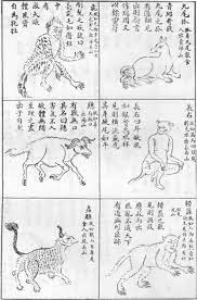 山海經將拍成電影李連杰章子怡陳怡蓉共演 章子怡 天涯部落 mythological creatures japan art mythical creatures