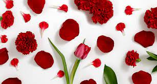 Flower delivery perfect for any occasion! 151 Types Of Flowers Images And Growing Tips Care Guide