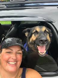 Profiel voor Stephanie's Shepherds Rescue, Rehab and Training, 501C3