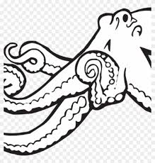 Coloring pages are a fun way for kids of all ages to develop creativity, focus, motor skills and color recognition. Octopus Clipart Black And White Coloring Book Octopus Octopus Coloring Page Free Transparent Png Clipart Images Download