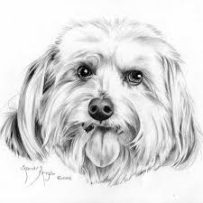 Pin On Animals In Art