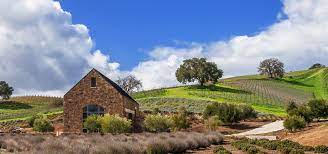 A lo largo de sus distintos apartados, el autor expone con claridad y rigor todo lo que el aficionado necesita saber sobre la fotografía, del manejo de la cámara a las técnicas de revelado, pasando por cuestiones tales como la iluminación. Paso Robles Ca Train Vacations Amtrak Vacations