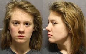 Teens set up drug buy at Lawrence park, then robbed and shot teen dealer,  according to allegations in affidavits