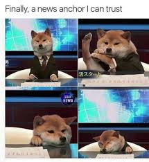 Him And The Anchors Of North Korea No One Else Funny Animals Cute Funny Animals Dog Memes
