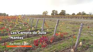 Nantes Les Carnets De Julie Les Carnets De Julie Nantes Histoire Du Vin