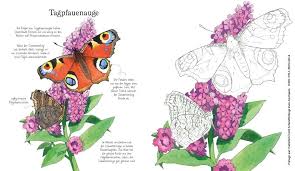 jemandem sein mitgefühl, bedauern, seine dankbarkeit ausdrücken. Zum Mitmachen Und Ausprobieren