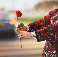 pin on صور ورود اجمل صور زهور ورد رائعة