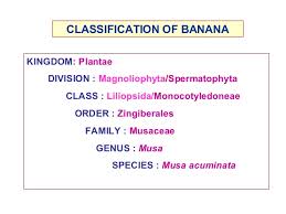 Plant Taxonomy