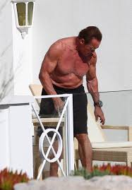 I told you i'd be back. Arnies Stahlerner Korper News At