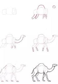 Learn how to draw a camel! How To Draw A Camel Step By Step Easy Animal Drawing
