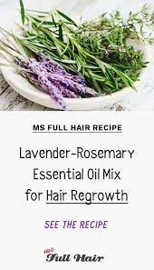 Ms Full Hair Recipe Lavender Rosemary Oil For Hair Growth Essential Oils Mix Recipe To Stop Hair Loss Hai Rosemary Oil For Hair Hair Regrowth Oils Hair Food