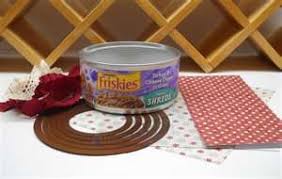 How To Recycle And Reuse Empty Cat Food Cans Diy Cat Food Cat Food Diy Food Storage