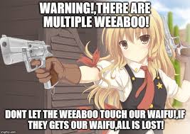 Weeaboo is a mostly derogatory slang term for a western person who is obsessed with japanese culture, especially another similar term is otaku. Otaku Vs Weeaboo Imgflip