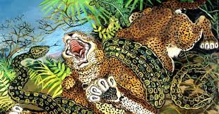 Antonio ligabue, tigre reale, china e pastelli a cera su carta intestata dell'ospedale psichiatrico san lazzaro di reggio emilia, 1941, 36x50 cm. Finestre Su Arte Cinema E Musica Animali Nell Arte Le Bestie Feroci Di Antonio Ligabue