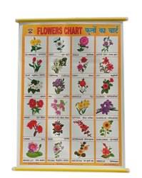 Learn 50 flowers names in english. Foam Sheet Flowers Name Teaching Chart Rs 210 Piece Hemant Map Company Id 22879047991