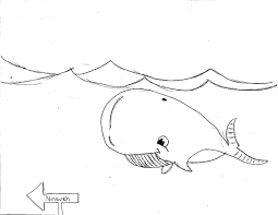 Then you can introduce these printable whale coloring pages to create more interest in him. Free Printable Whale Coloring Pages For Kids