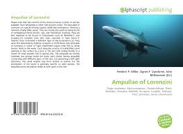 Ampullae of lorenzini in oman shark 419. Ampullae Of Lorenzini 978 613 0 23272 6 6130232721 9786130232726