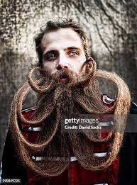 11 667 David Barbe Stock Photos, High-Res Pictures, and Images