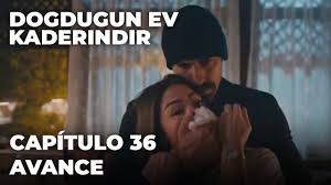 Telenovela colombiana de caracol televisión que cuenta la historia de un hombre talentoso que se convirtió en un ídolo del género vallenato. Rafael Orozco El Idolo Capitulo 37