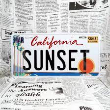 好きな文字にできるアメリカナンバープレート 大 カリフォルニア ヤシの木 送料無料 ナンバープレート カリフォルニア ヤシの木 木のデザイン
