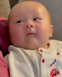 Terry Rollman (@terryrollman) • Instagram photos and videos