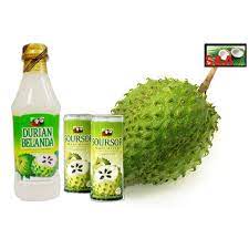 Durian belanda merupakan keluarga annonaceae, yang dikenali sebagai keluarga epal kastard. Durian Belanda Soursop Concentrate Plip Jus Durian Belanda Pekat 1 Litre Shopee Malaysia