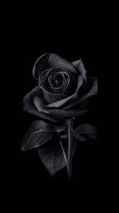 Black quotes wallpaper black background quotes bible verse background quote backgrounds black background wallpaper background vintage phone wallpapers, phone backgrounds, quotes to live by, free quotes. Pin By Naa On Nabaa Cute Black Wallpaper Black Roses Wallpaper Dark Phone Wallpapers