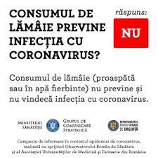 În soluţia dată la judecătoria focşani se arată că petentul fusese sancţionat pentru încălcarea articolului 36 alineatul (1) din oug 195/2002, conform dispoziţiilor articolului 108 alineatul. Purtarea Centurii De SiguranÅ£Äƒ Nu Este Obligatorie In LocalitÄƒÅ£i Pentru A