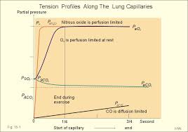 New Human Physiology Ch 15