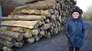 Pour composer correctement un stère de bois, ou évaluer le nombre de stères de bois de chauffage qu'on trouve dans un tas, il faut tenir compte de nous vous expliquons plus en détail comment calculer un stère de bois. En Flandre Depuis Quel Bois Je Me Chauffe