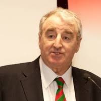 70+ "Culkin" profiles