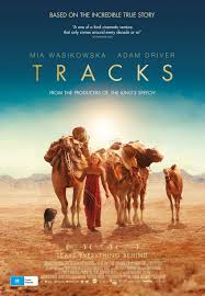Camels in the western oman's desert. September 2014 Films Etc