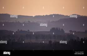 Image result for puklice