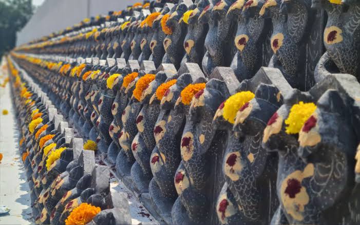 Kaala Sarpa