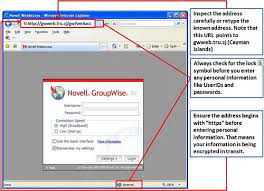 Recognizing Fake Websites
