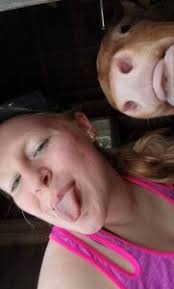 Cattle make the best 'derp faces.' See for yourself!