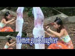 A woman slaughtering an animal عورت جانور ذبح کرتے ہوئے. Small Girl Big Goat Slaughter Women Goat Slaughtering Big Goat Slaughter Youtube